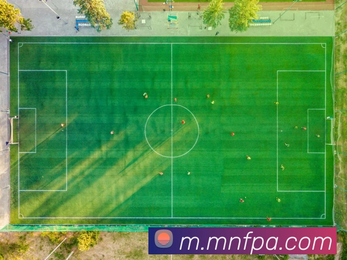 pa真人视讯服务体系